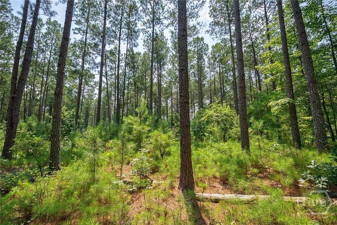 73.6 Acres of Recreational & Residential Land for Sale in Carlton, Georgia
