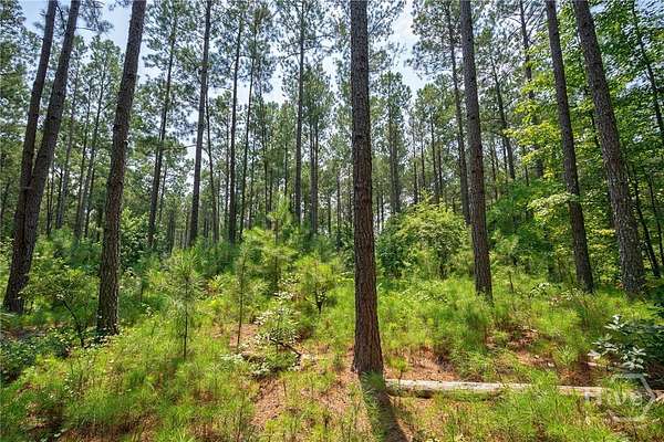 73.6 Acres of Recreational & Residential Land for Sale in Carlton, Georgia