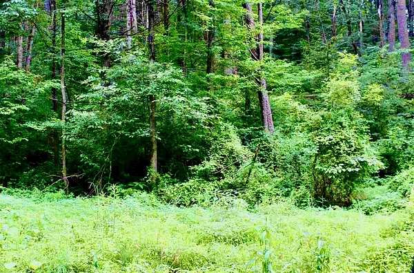 1.77 Acres of Residential Land for Sale in Dayton, Virginia