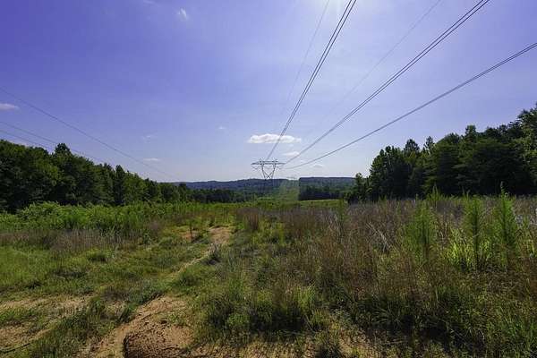 157 Acres of Land for Sale in Union, South Carolina