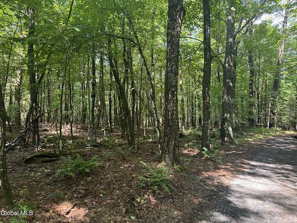 7.77 Acres of Residential Land for Sale in North Creek, New York