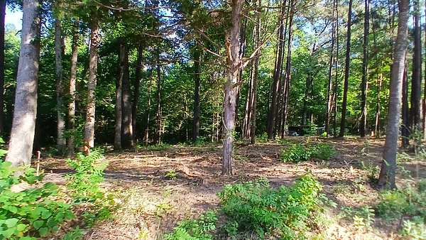 Residential Land for Sale in Many, Louisiana