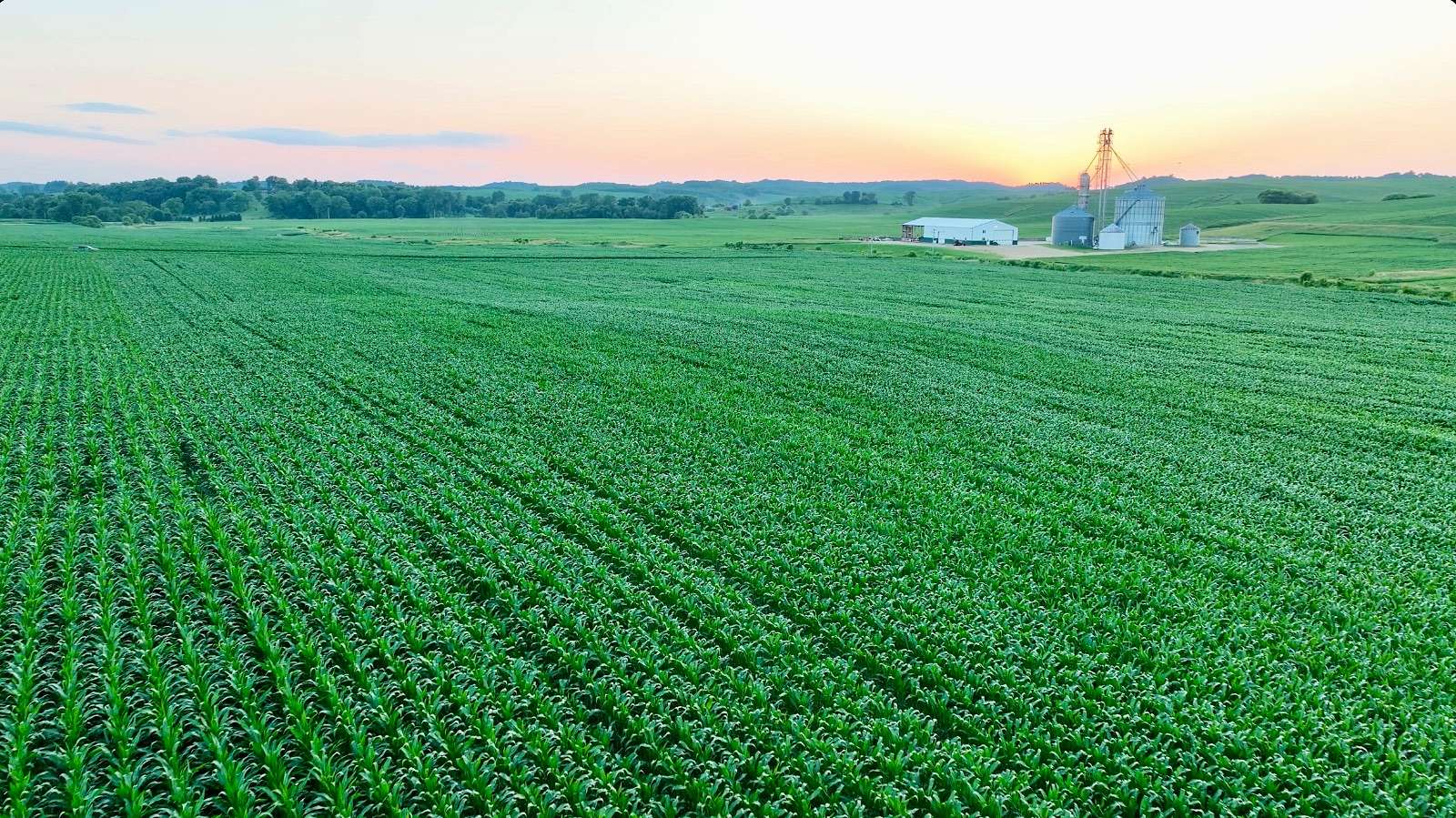 165 Acres of Land for Sale in Osseo, Wisconsin