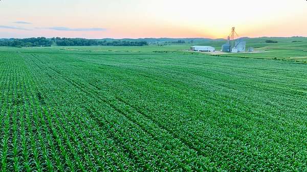 165 Acres of Land for Sale in Osseo, Wisconsin