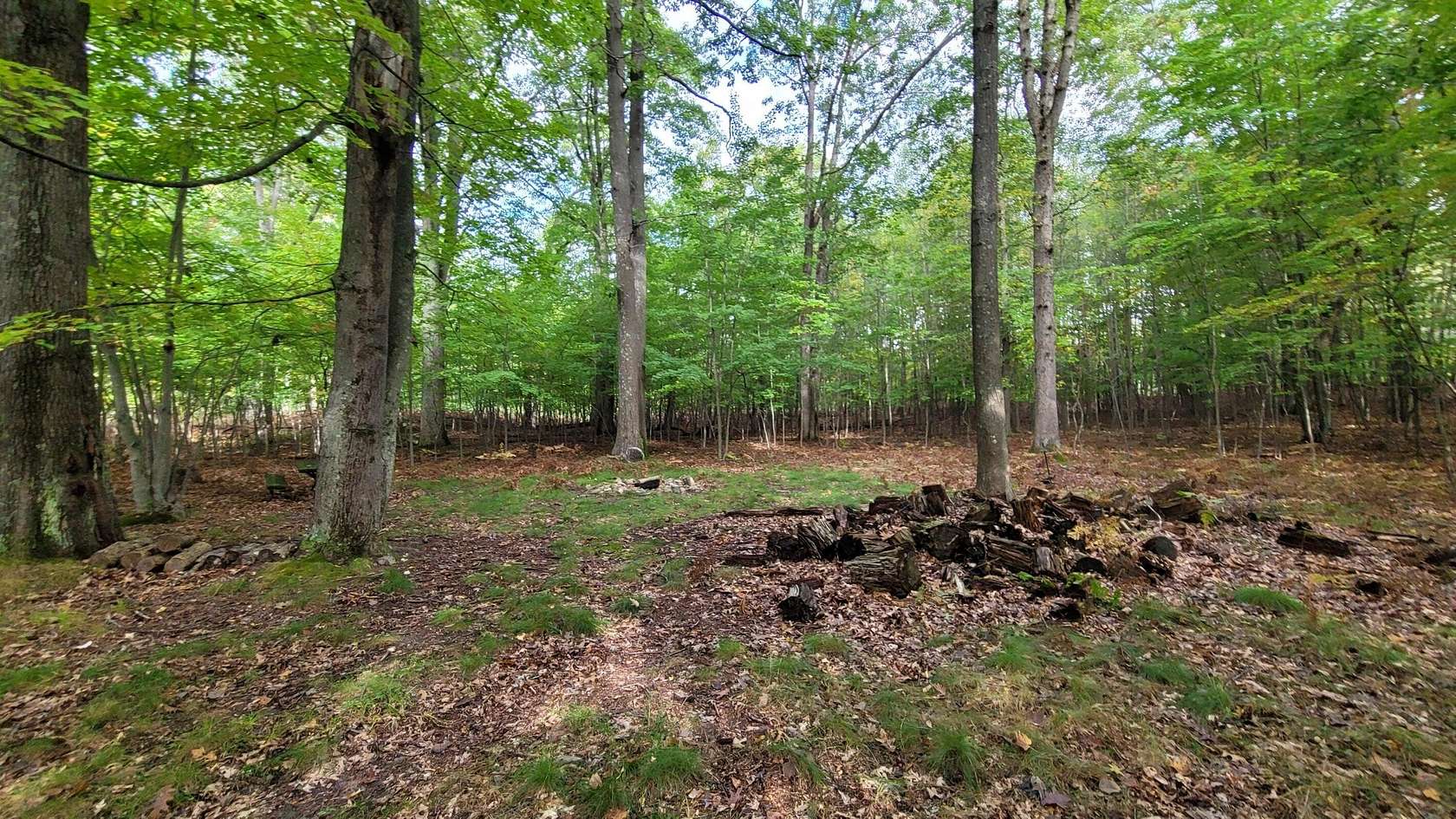 2.34 Acres of Residential Land for Sale in Pentwater, Michigan