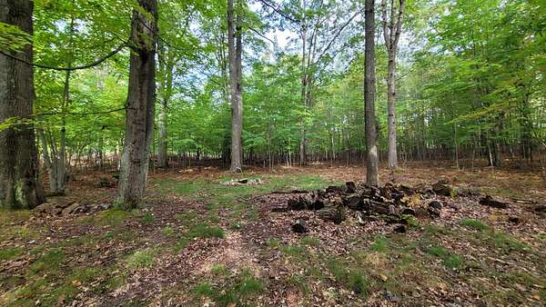 2.34 Acres of Residential Land for Sale in Pentwater, Michigan