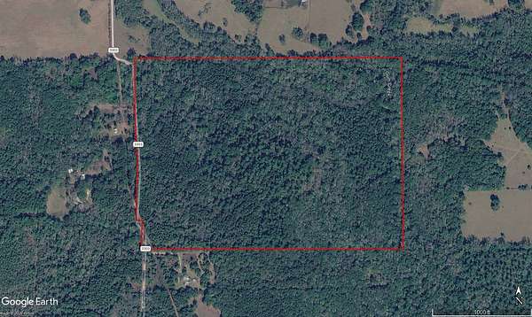 117 Acres of Recreational & Residential Land for Sale in Jacksonville, Texas