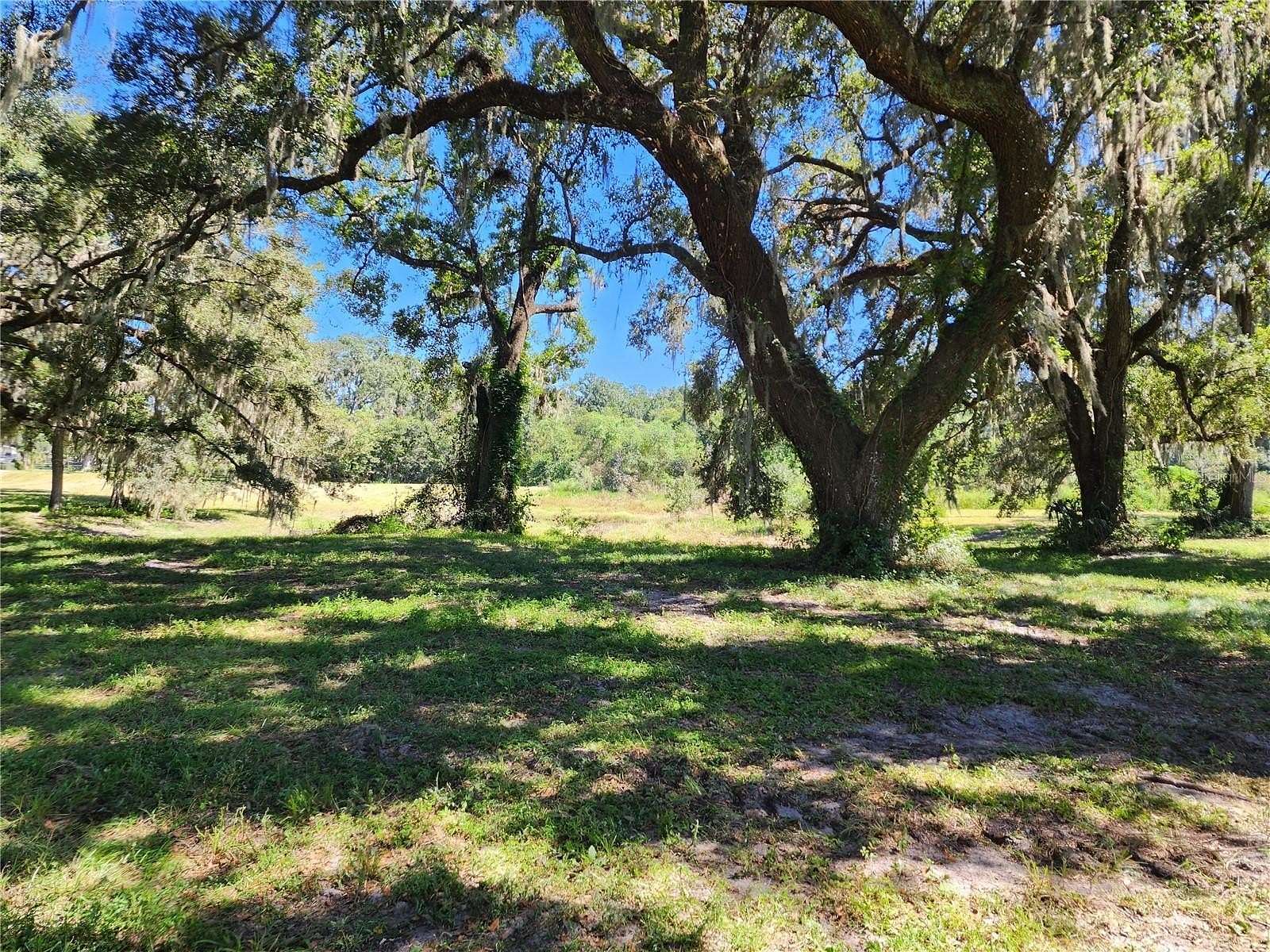 25 Acres of Land for Sale in Morriston, Florida