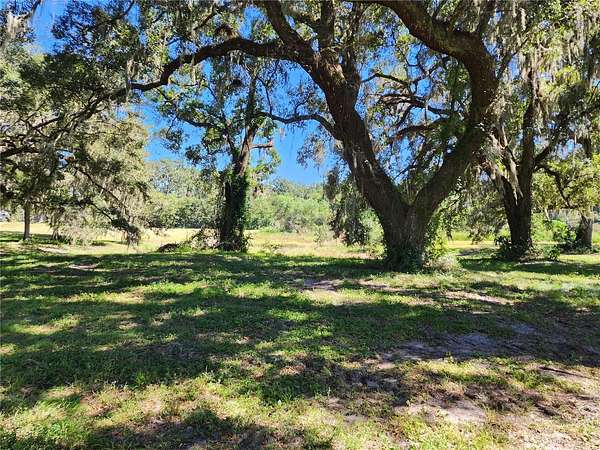 25 Acres of Land for Sale in Morriston, Florida