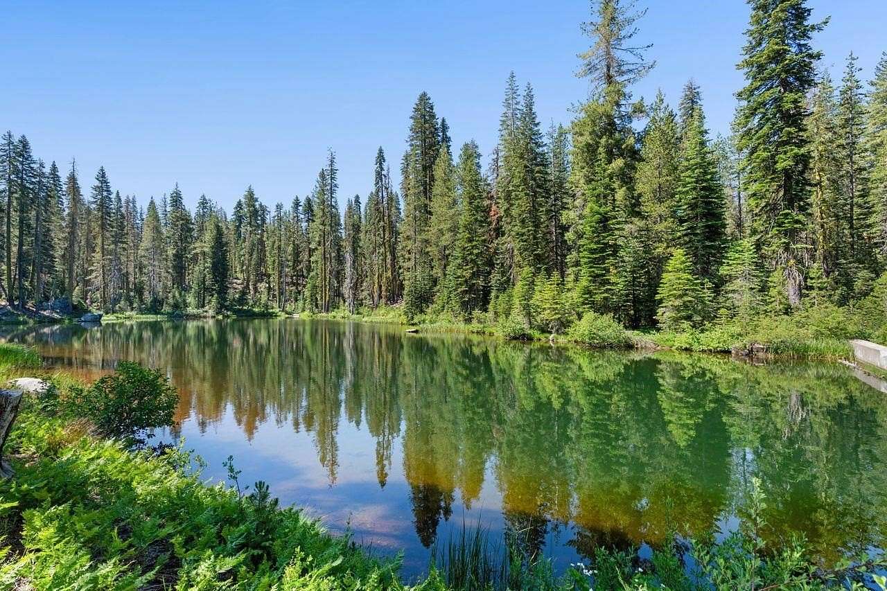 96.4 Acres of Recreational & Residential Land for Sale in Soda Springs, California
