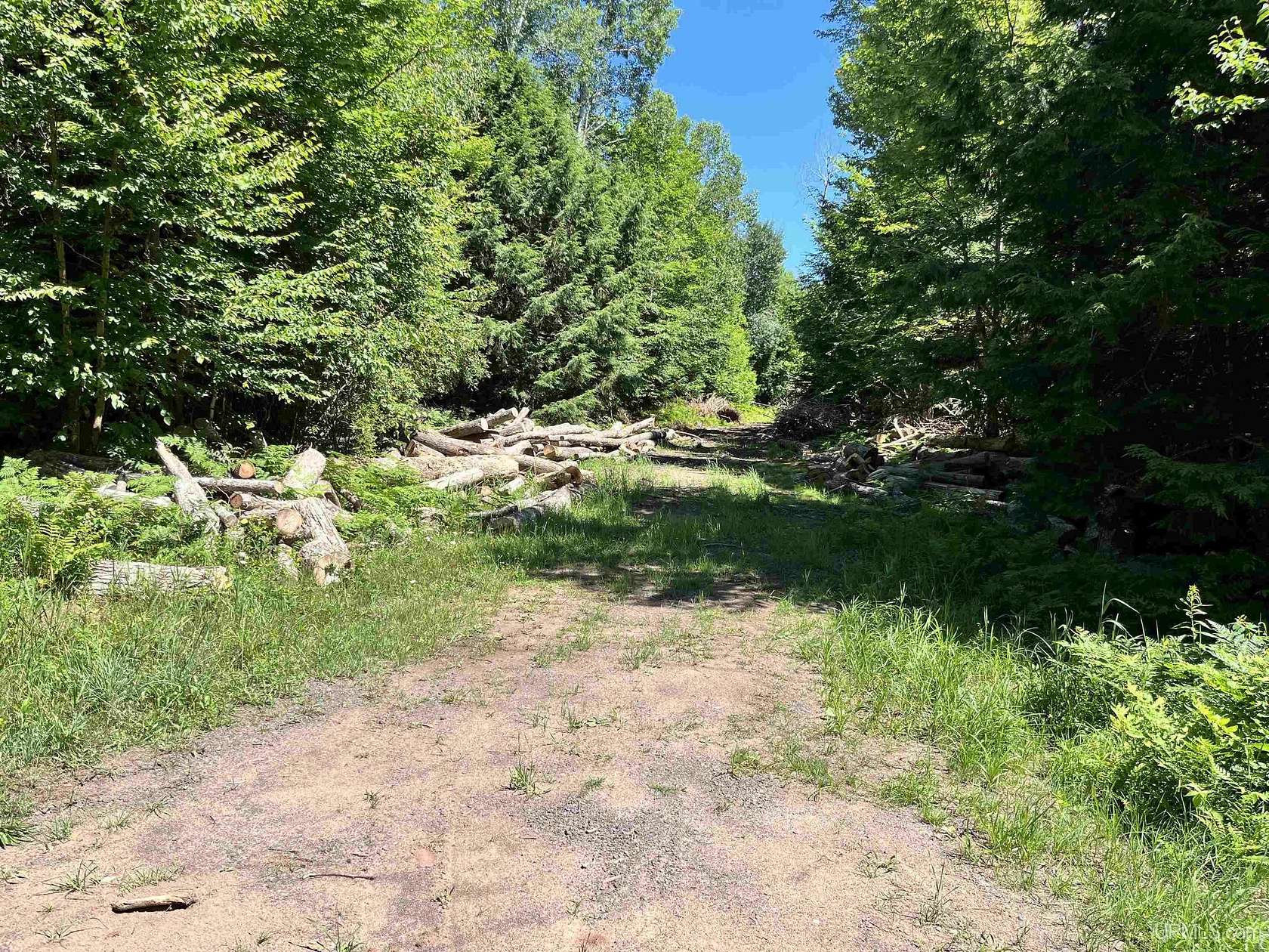 60 Acres of Recreational & Residential Land for Sale in Ontonagon, Michigan