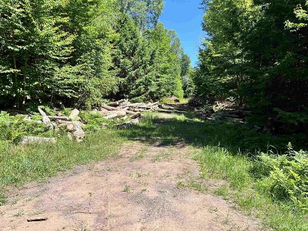 60 Acres of Recreational & Residential Land for Sale in Ontonagon, Michigan