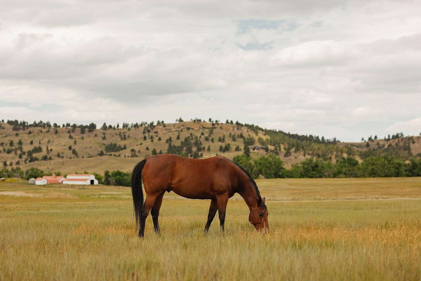 7.54 Acres of Residential Land for Sale in Belle Fourche, South Dakota