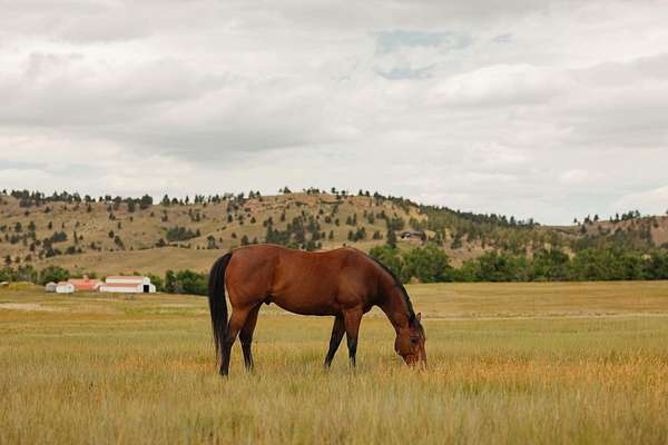 7.54 Acres of Residential Land for Sale in Belle Fourche, South Dakota