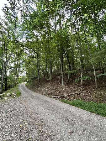 0.25 Acres of Residential Land for Sale in Butler, Tennessee