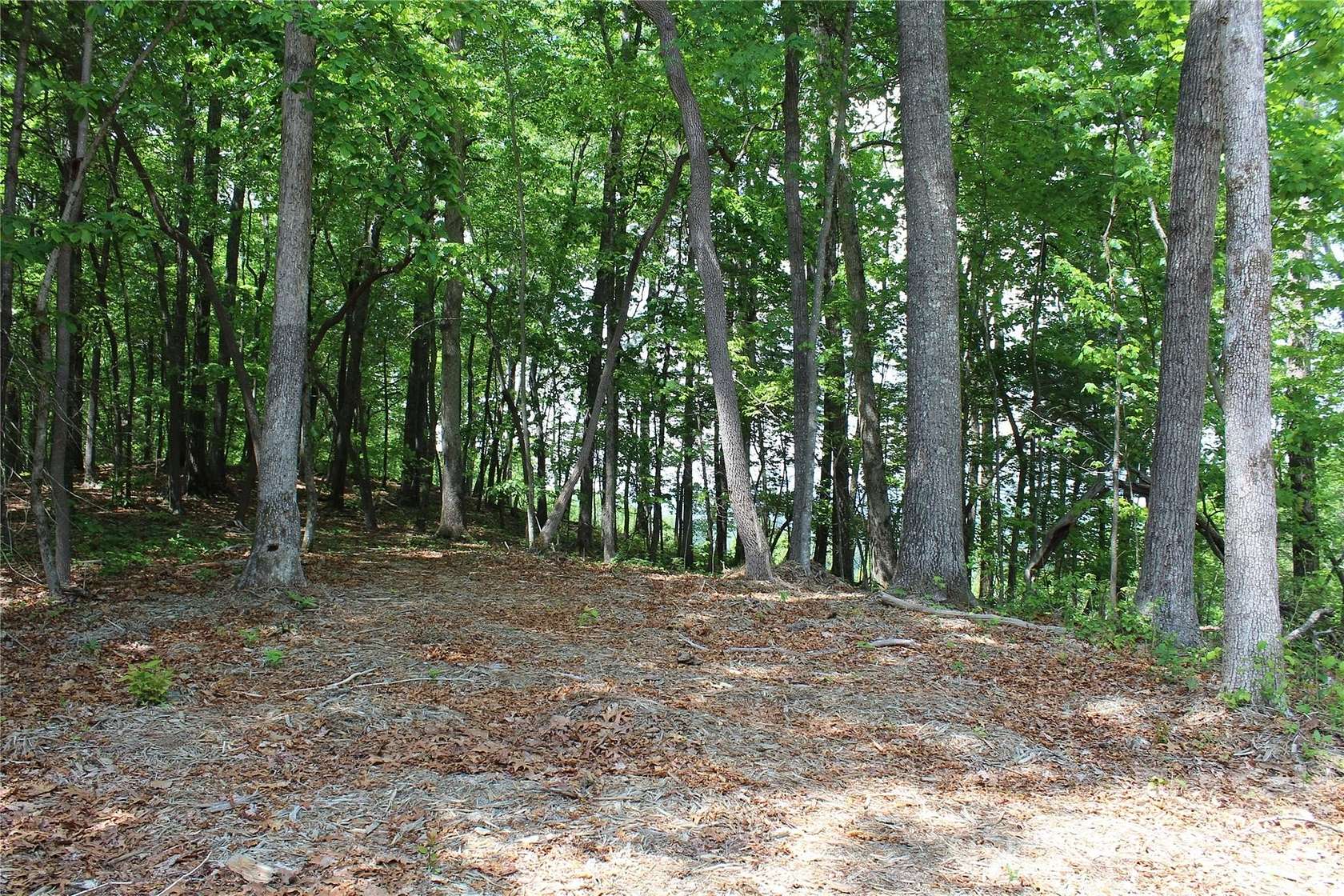 1 Acre of Residential Land for Sale in Hendersonville, North Carolina