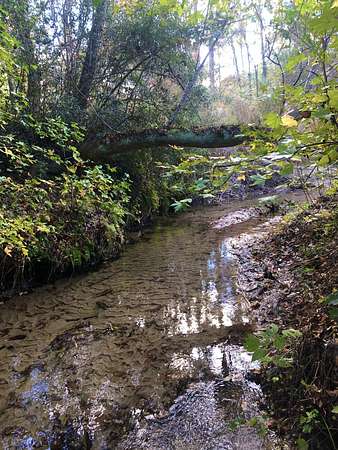 3.46 Acres of Residential Land for Sale in Hollywood, South Carolina