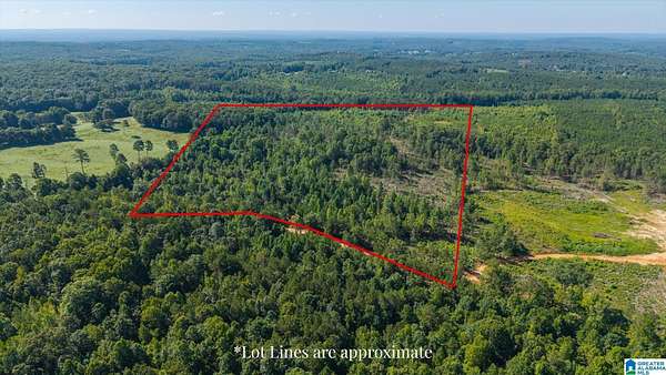 20 Acres of Recreational Land for Sale in Heflin, Alabama