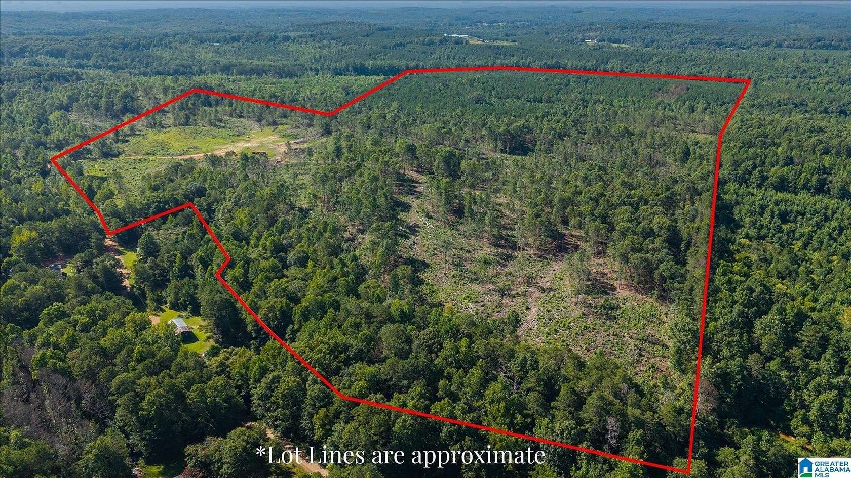 58 Acres of Recreational & Residential Land for Sale in Heflin, Alabama