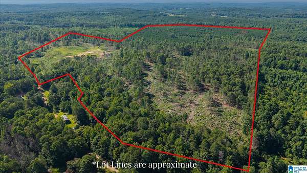 58 Acres of Recreational & Residential Land for Sale in Heflin, Alabama