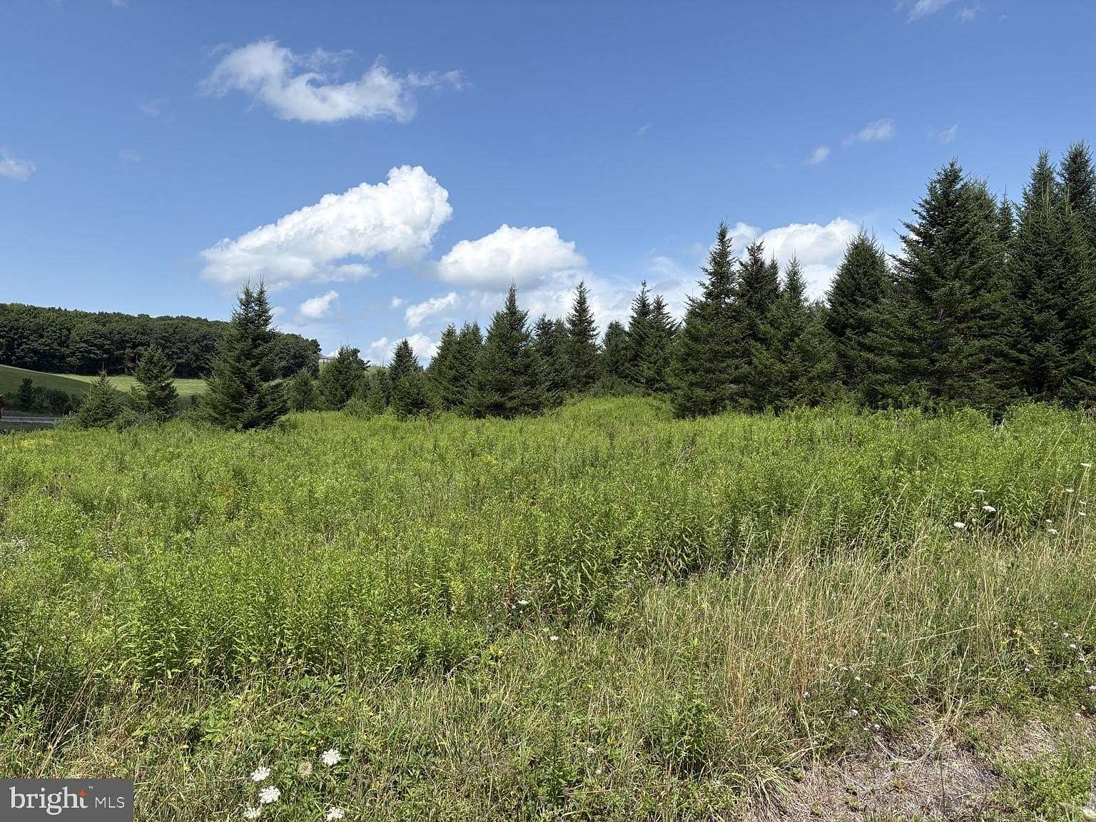 91.8 Acres of Recreational Land for Sale in Frostburg, Maryland