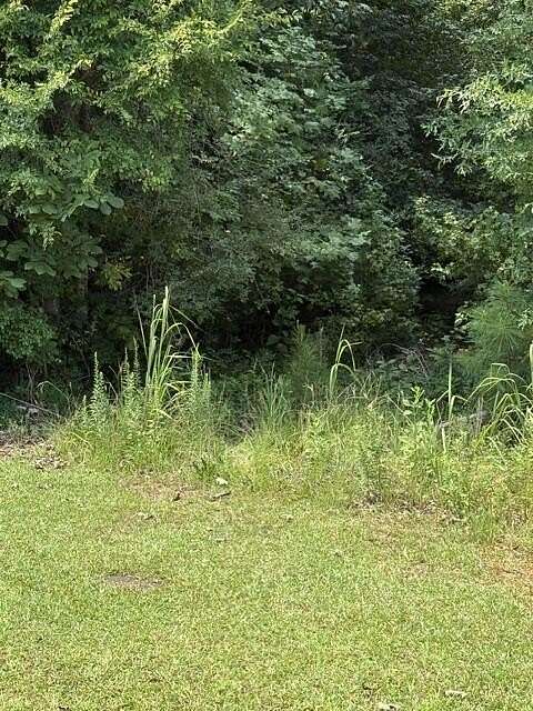 25.8 Acres of Recreational & Residential Land for Sale in Ninety Six, South Carolina