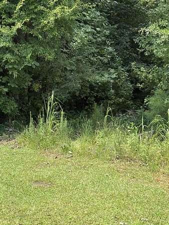 25.8 Acres of Recreational & Residential Land for Sale in Ninety Six, South Carolina