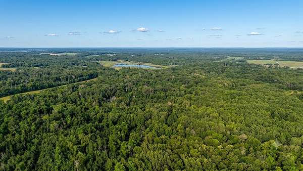 36.8 Acres of Recreational Land for Sale in Brook Park, Minnesota