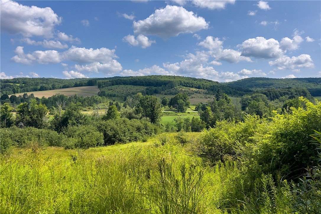 86.5 Acres of Land for Sale in Sidney, New York