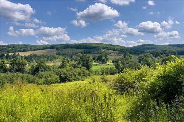 86.5 Acres of Land for Sale in Sidney, New York