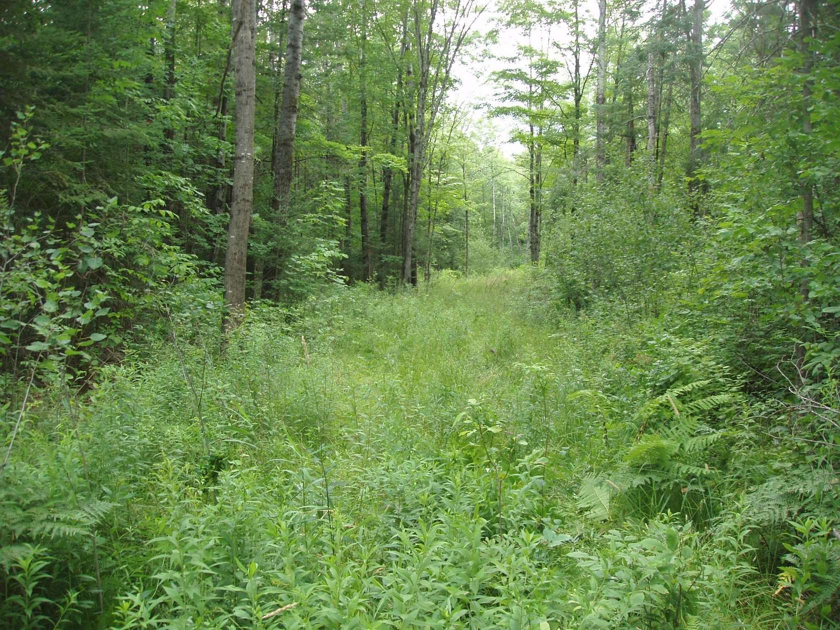 40 Acres of Recreational Land for Sale in Spirit, Wisconsin