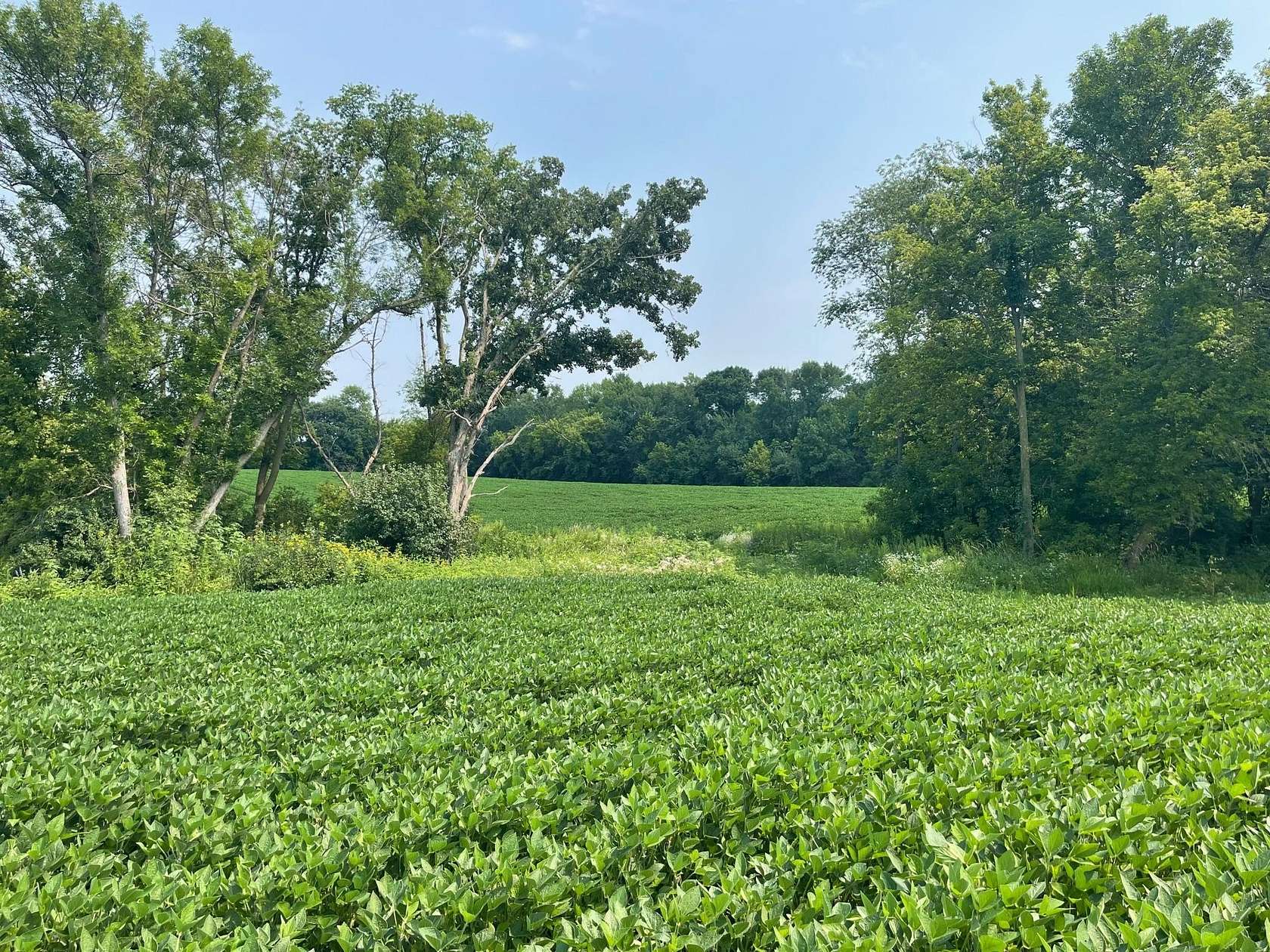 79.9 Acres of Land for Sale in Kilkenny, Minnesota