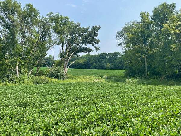 79.9 Acres of Land for Sale in Kilkenny, Minnesota
