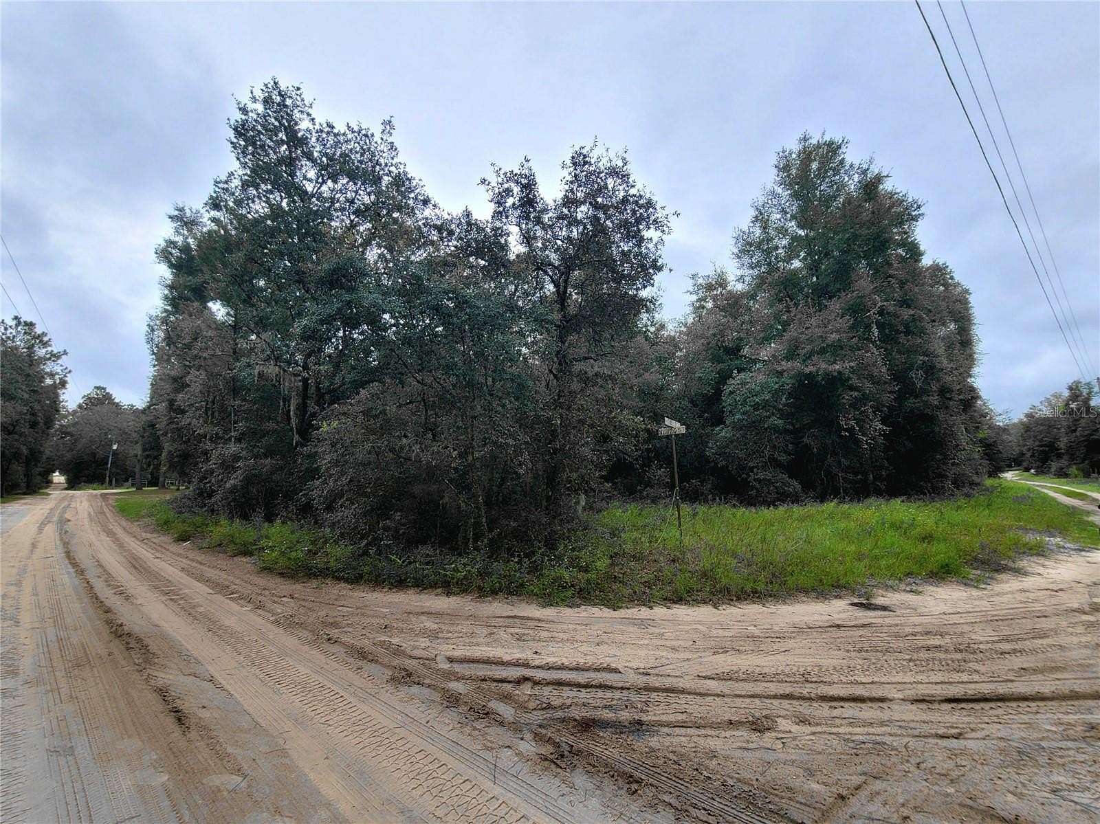 1.25 Acres of Residential Land for Sale in Bronson, Florida