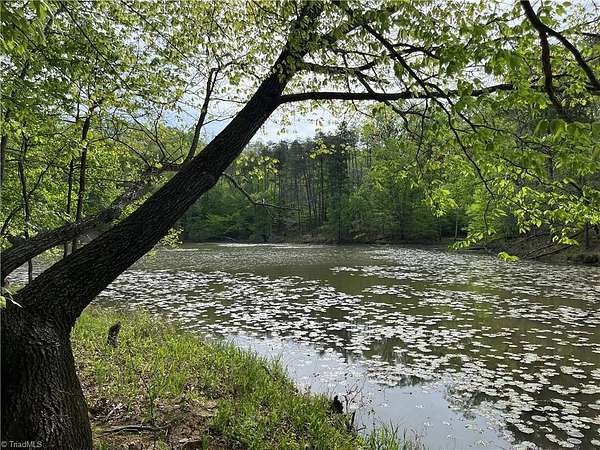 26.8 Acres of Recreational & Residential Land for Sale in Germanton, North Carolina