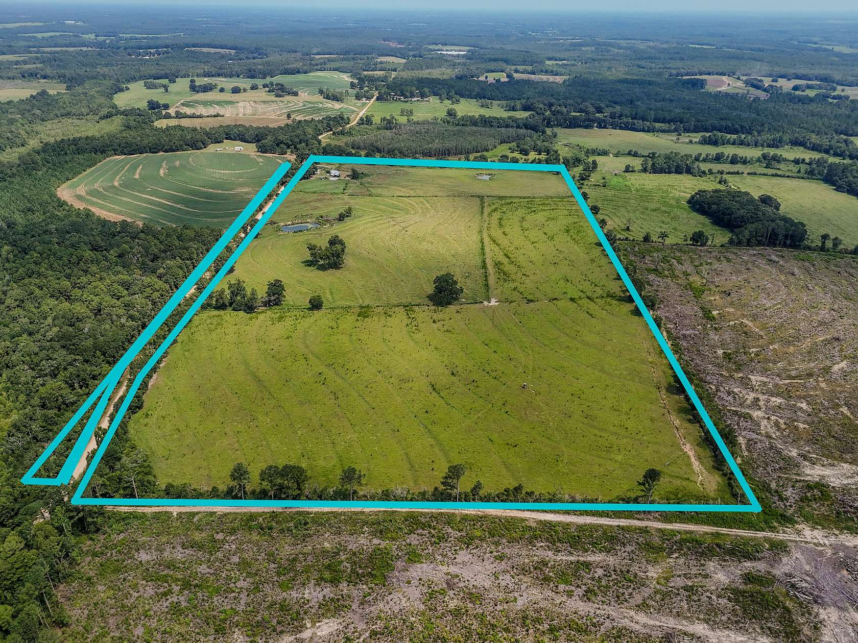 76 Acres of Agricultural & Residential Land for Sale in Florala, Alabama