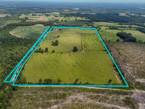 76 Acres of Agricultural & Residential Land for Sale in Florala, Alabama