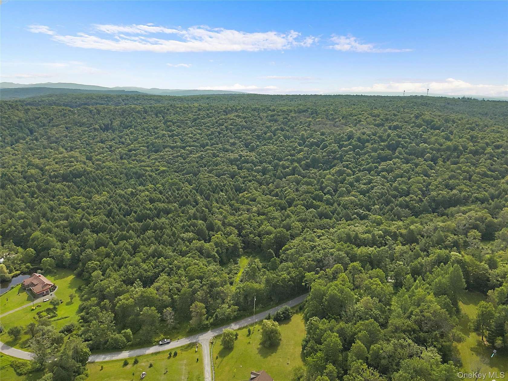 26.5 Acres of Land for Sale in Livingston Manor, New York