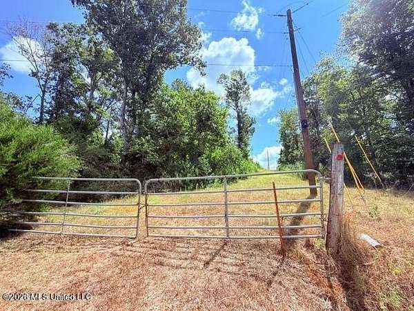 19 Acres of Recreational & Residential Land for Sale in Tylertown, Mississippi