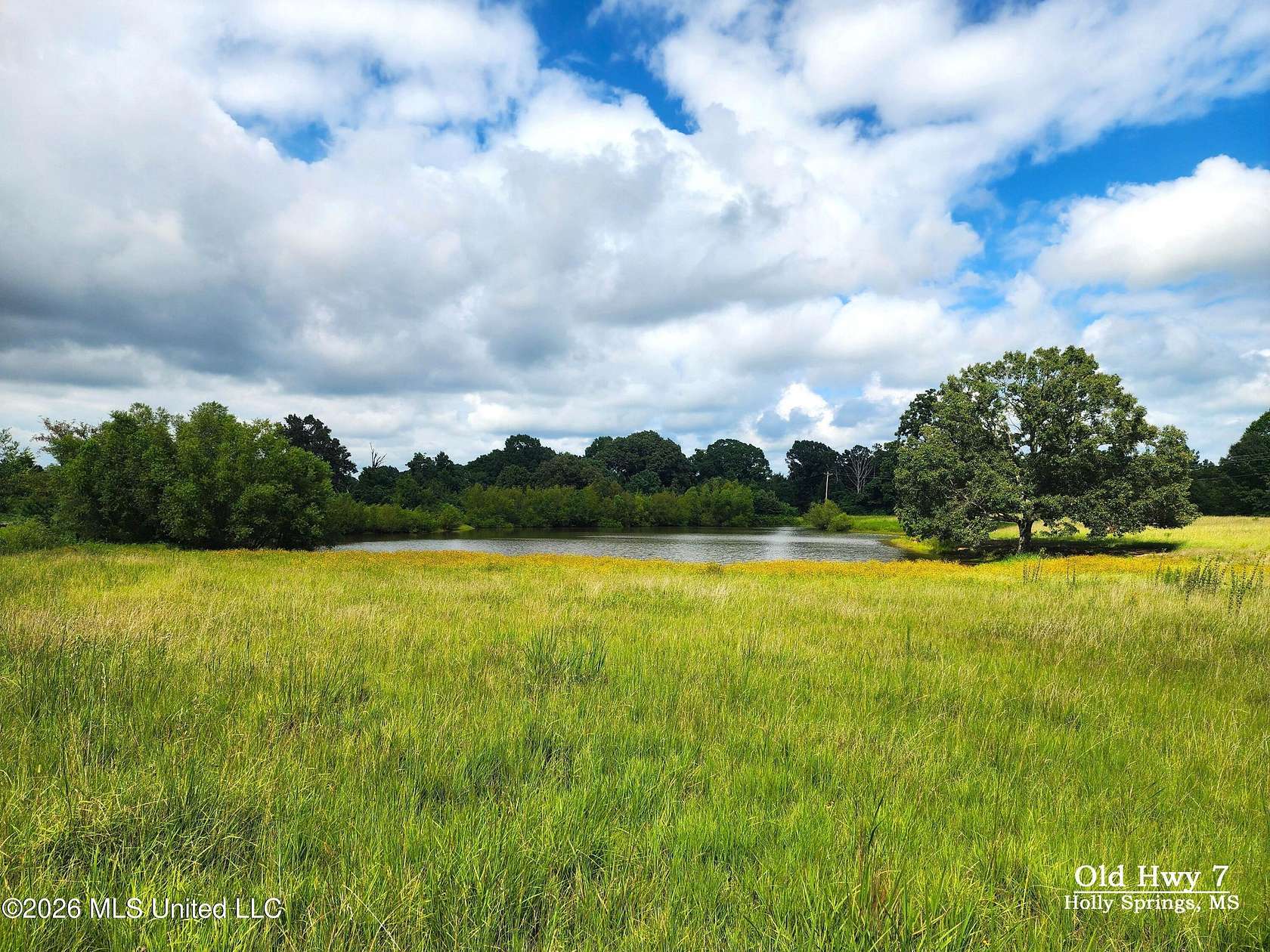 152 Acres of Land for Sale in Holly Springs, Mississippi
