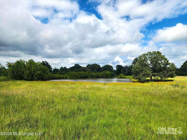 152 Acres of Land for Sale in Holly Springs, Mississippi