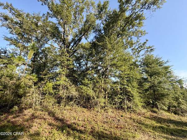 1.9 Acres of Residential Land for Sale in Marianna, Florida