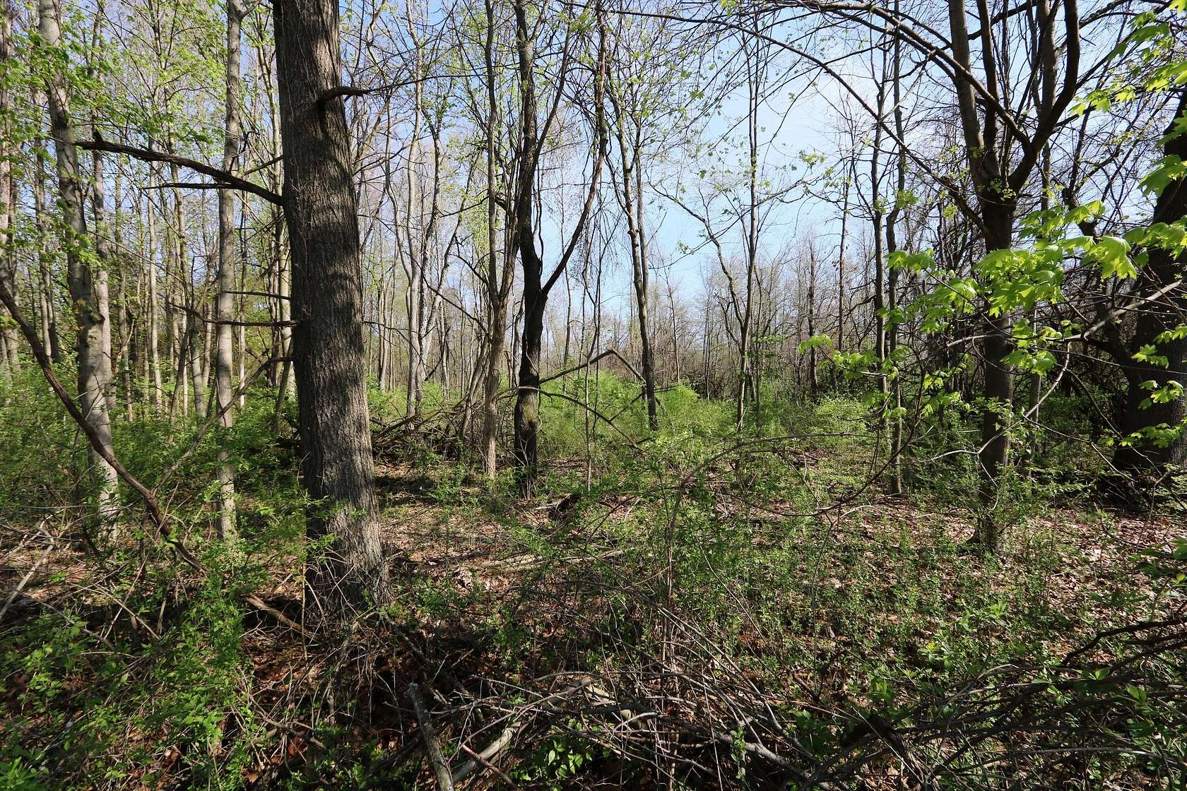 15.5 Acres of Land for Sale in Niles, Michigan