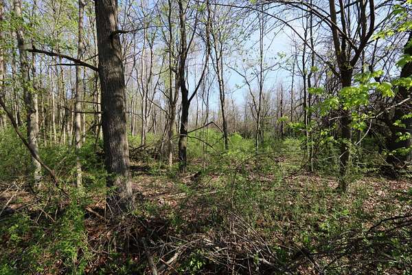 15.5 Acres of Land for Sale in Niles, Michigan