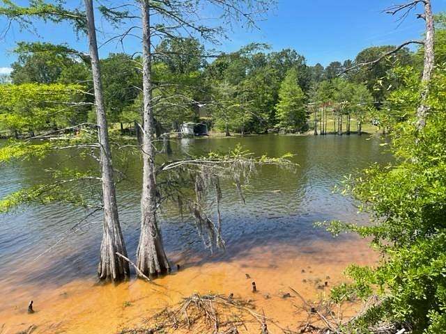 0.46 Acres of Residential Land for Sale in Florien, Louisiana