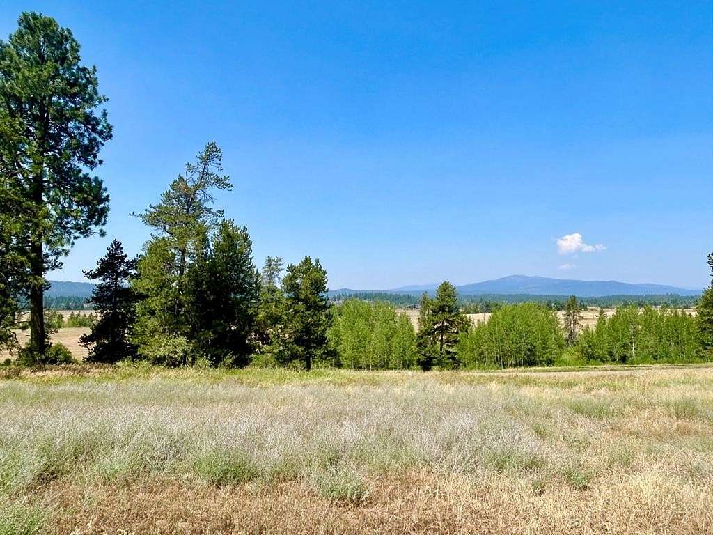 1 Acre of Residential Land for Sale in McCall, Idaho
