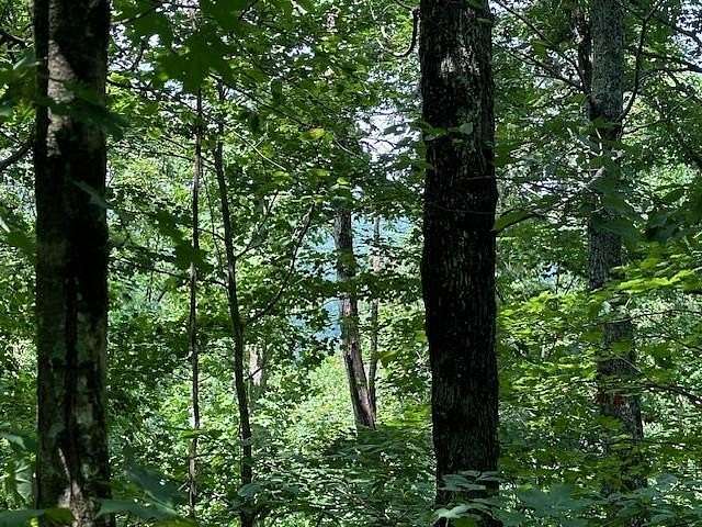 5 Acres of Residential Land for Sale in Wilder, Tennessee