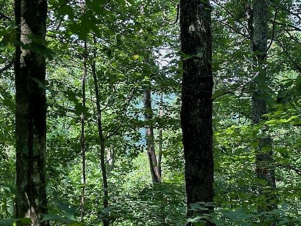 5 Acres of Residential Land for Sale in Wilder, Tennessee