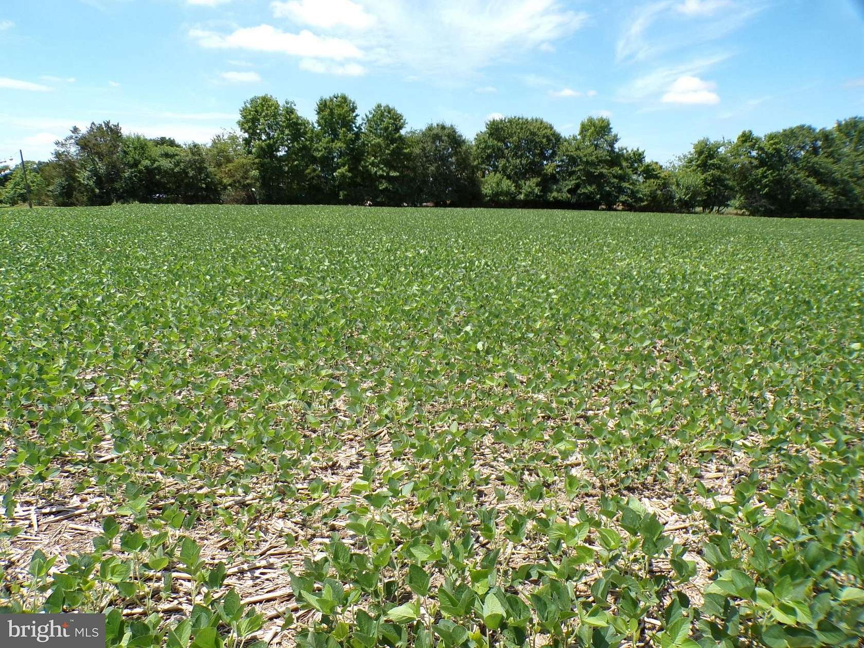 5 Acres of Land for Sale in Greenwood, Delaware