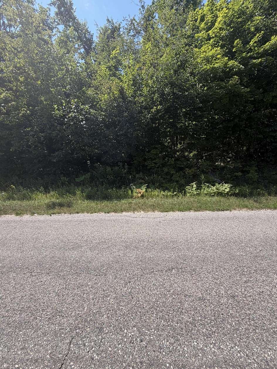 10 Acres of Land for Sale in Gaylord, Michigan